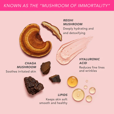 Doll 10 Skin Genius Mushroom Milk