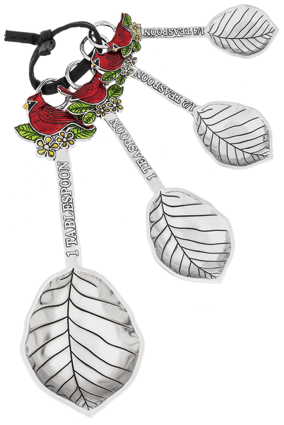 Set of 4 Themed Measuring Spoons for Just Jill