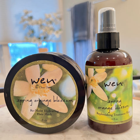 WEN by Chaz Dean Mega Moisture Duo