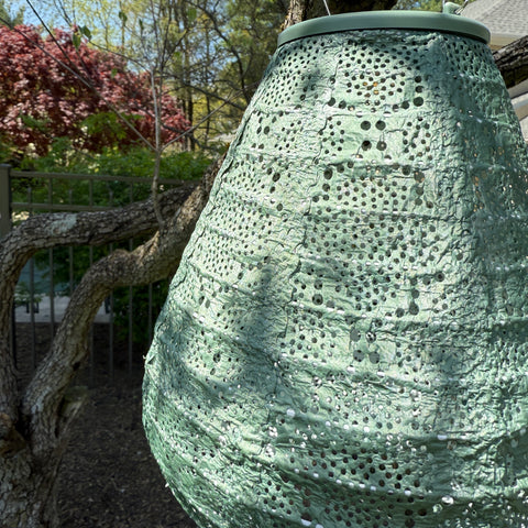 New Edition LUMIZ Battery Powered LED Tulip Shape Lantern