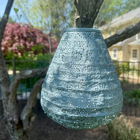 New Edition LUMIZ Battery Powered LED Tulip Shape Lantern