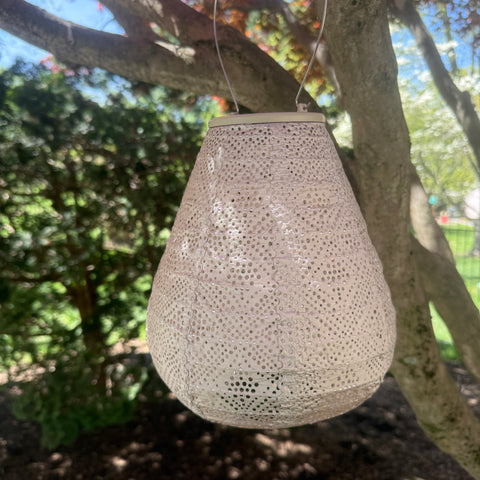 New Edition LUMIZ Battery Powered LED Tulip Shape Lantern