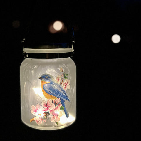 Bluebird Solar Hanging Glass Jar Lantern with 30" Stake