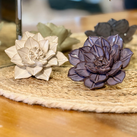 Set of 2 Ceramic Succulents for Just Jill