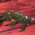 Natural Touch Norfolk Pine Garland With Lights
